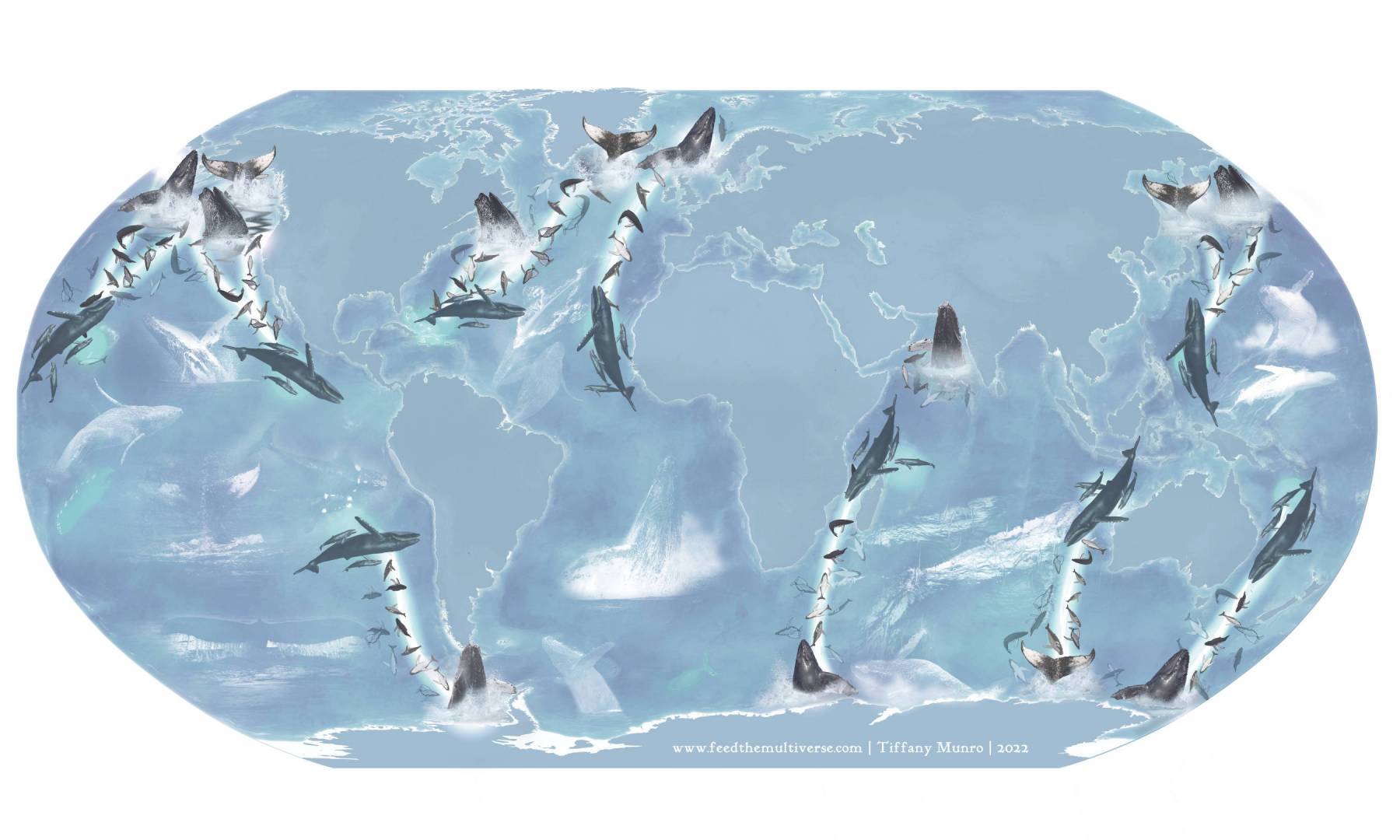 The migratory paths of Humpback whales, artistic map of the world, cartography by Tiffany Munro